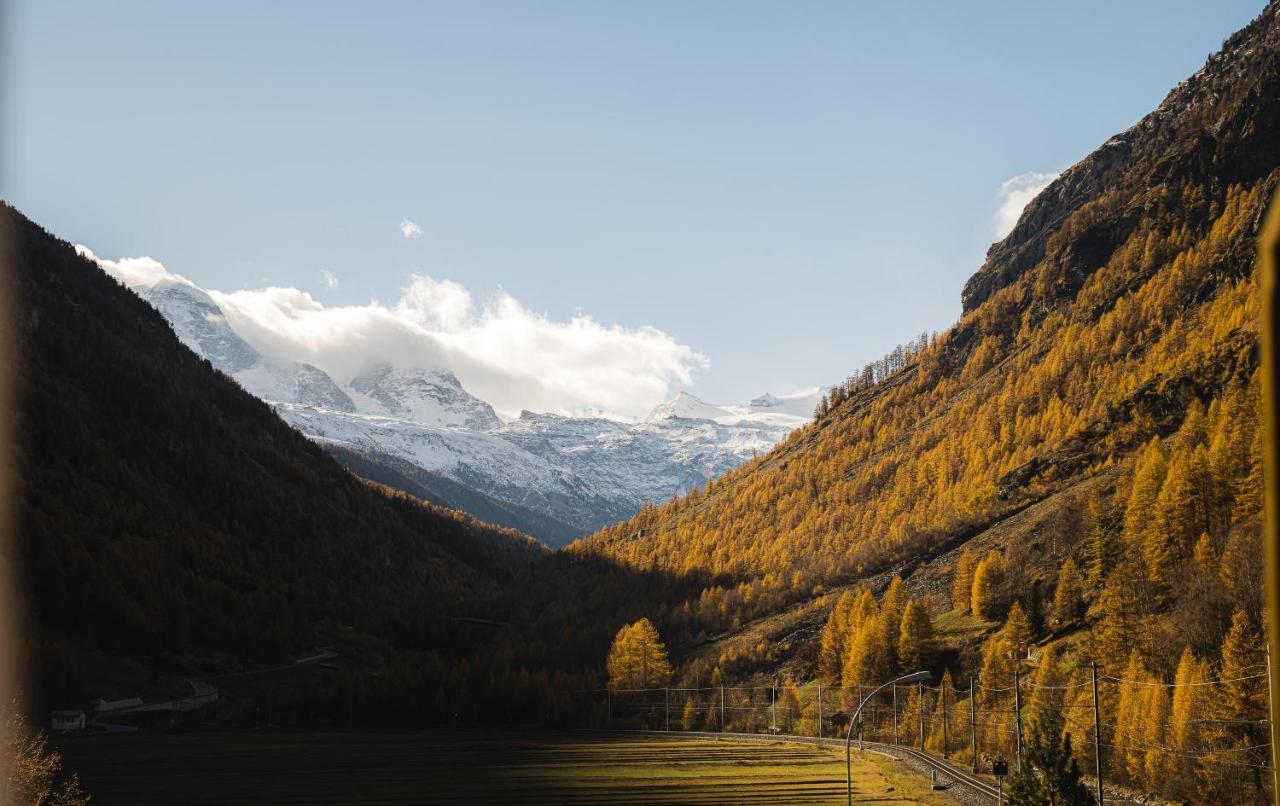 Walliserhof Täsch Dış mekan fotoğraf