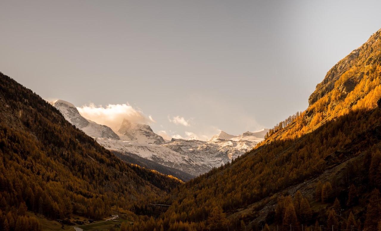 Walliserhof Täsch Dış mekan fotoğraf